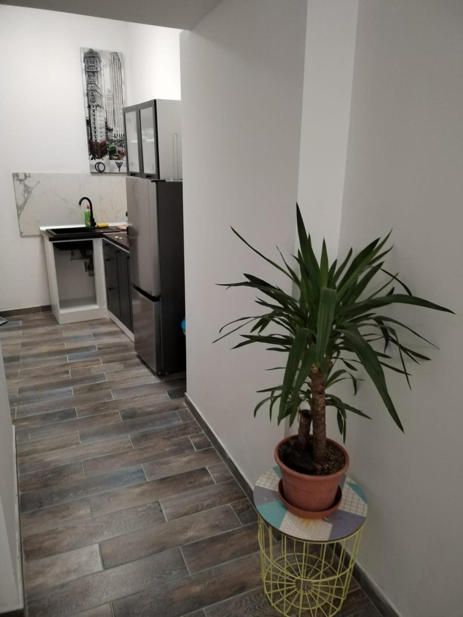 Garden In The Center Apartment Split Room photo
